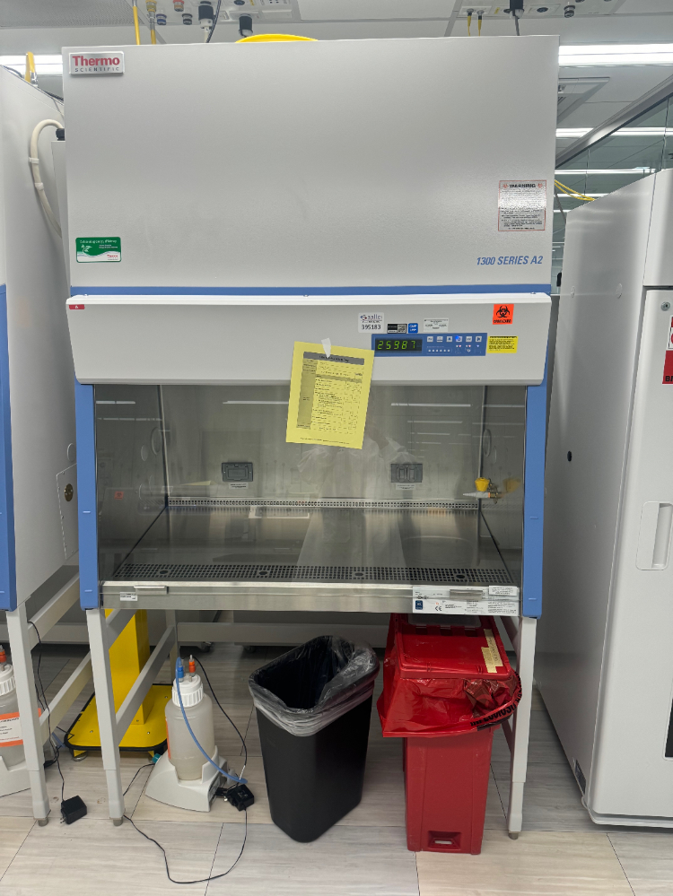 Image of Thermo 1300 Series A2 4' Biosafety Cabinet